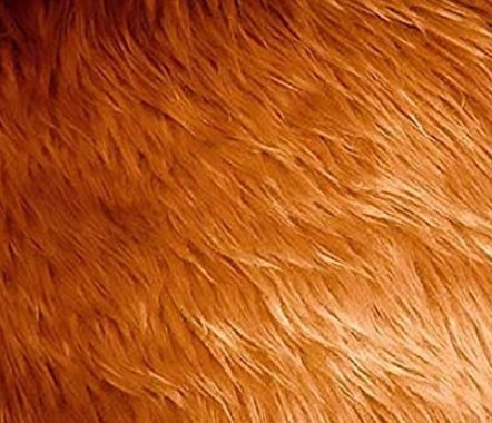 Fake Long-pile Fur Mongolian-Dark Camel Fabric